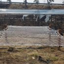 딸기밭 부농 이미지