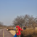 여강길(9코스 너른들길) 이미지