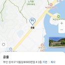 부산 강서구 베트남 음식 맛집 윤율 이미지