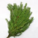 스툴 꾸미기 원데이 클래스 | 리스 &amp; 크리스마스 리스 만들기 원데이 클래스 후기 / 그리너리 리스 / 크리스마스 꾸미기 / 인테리어