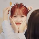 Sugar(슈가) 이미지