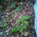 구심농장 이미지