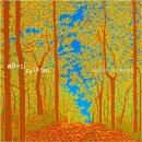 도시의 빛 이미지