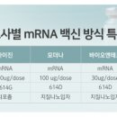 아이진 이미지