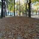 신매근린공원 이미지