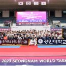 세계로 국제태권도 이미지