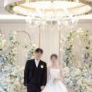 시나래컴퍼니 | [웨딩-본식스냅] 더링크호텔 서울 베일리홀 바닐라페이퍼 본식스냅 후기 (내돈내산)