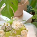 수피아플라워 이미지