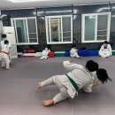 (Dream of Judo)노은유도관 이미지