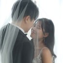 웨딩사진 보정업체 사설 위력 [엘뮤] 전후 사진 후기