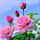 에서