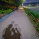 아이앤네일 - 광명시 오리로 877 | [난임기록 #7] 난자채취 후기! 23개 채취, 그리고 동결이식 확정 🥚