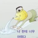 (주)오감 이미지