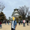 피크닉마트 이미지