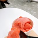 벨라아이스크림