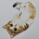 시선미술학원 이미지