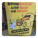 오리고집 이미지