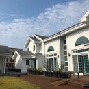 종려나무복지센터 이미지