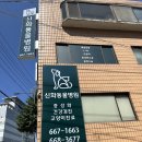 신화동물병원 네이버블로그