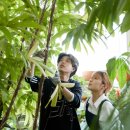 치유와 성장의 글쓰기(2) 이미지