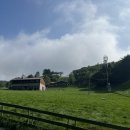 고니목장 이미지