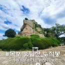 예향의 숲 | 유달산 노적봉 정상, 목포 유달산장 가는 길 후기