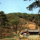 전주이씨 광평대군파 묘역 이미지