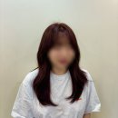 서울대입구 아이롱펌 맛집, 이프온헤어에서 깔끔하게 뿌리염색하고 왔어요!