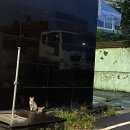 소륜소반 | 대전 읍내동 맛집 : 소륜소반에서 치즈돈까스 먹방 데이트 ♪