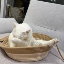 (주)플레아 | 0316~0322 일상