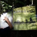 힐링이 되는 자연 휴양림 Totara Walk, Pureora Forest Park 이미지
