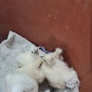 대박4농장 이미지