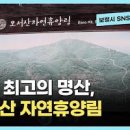 충남 1박2일 여행지 무창포 찍고 오서산 자연휴양림에서 천장호 출렁다리까지 이미지