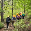 개금2동 건강생활지원센터 | 개금2동 주민들과 함께 했던 엄광산 둘레길(편백숲길) 걷기 이벤트