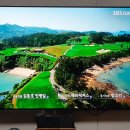 파인 힐링 이미지