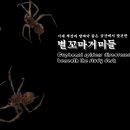 🔍서재 책상 밑 좁은 공간에서 발견한 별꼬마거미들 이미지