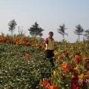 네이처 영농조합법인 이미지