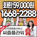 수원-지만-310 | 수원 결혼식장 화환 배달 바로가기, 씨즐플라워