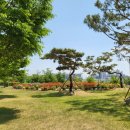 신서중앙공원 이미지