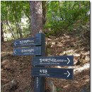 우리산성약국 이미지