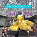 도하 | 카타르 도하공항 무료샤워이용후기 (알마하라운지|PP카드 더라운지 사용)