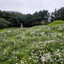 서악큰마을 이미지