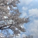 센트럴이비인후과의원 | 익산 센트럴이비인후과 &#34;이명 검사 후기&#34;