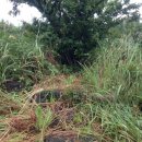 성읍2리 이미지