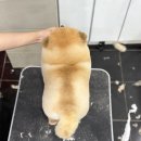 용전탑학원