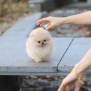 큐티