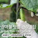 미래환경(주) - 2249 | 장마철 텃밭관리 오이 흰가루병 해결 절기따라 떠나는 친환경 도시농업 수업후기