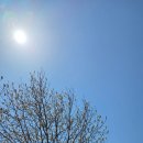 둘레길 | 영종도 여행! 인천 드라이브 코스 예단포 둘레길 산책 후기