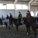 궁평목장 이미지