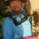 김용수농장 이미지